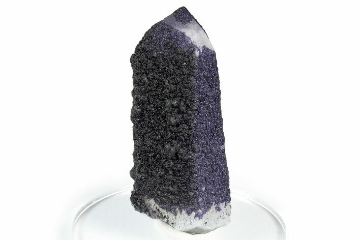 Purple Fluorite Encrusted Quartz Crystal - New Find! #350653